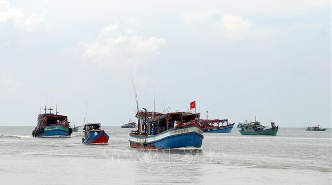 Ca Mau se esfuerza por luchar contra la pesca ilegal ảnh 1 Ca Mau se esfuerza por luchar contra la pesca ilegal ảnh 1