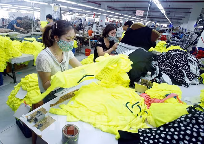 Área Continental Africana de Libre Comercio y oportunidades para Vietnam ảnh 2 Área Continental Africana de Libre Comercio y oportunidades para Vietnam ảnh 2