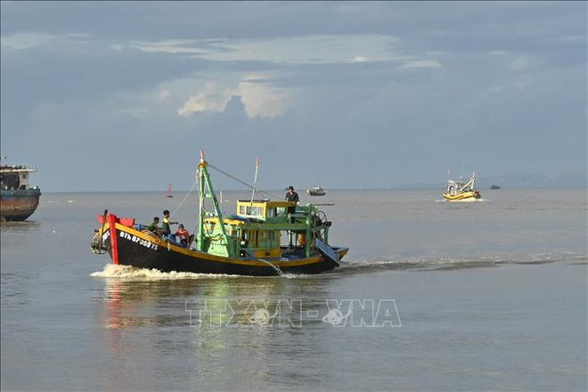 Provincia vietnamita se prepara para inspección de CE sobre IUU ảnh 1 Provincia vietnamita se prepara para inspección de CE sobre IUU ảnh 1