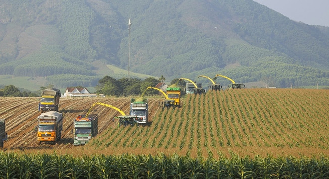 Destacan en Vietnam necesidad de inversión privada en crecimiento verde ảnh 2 Destacan en Vietnam necesidad de inversión privada en crecimiento verde ảnh 2