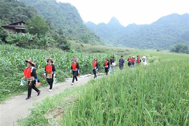 Promueven inversiones en bienes raíces agroturísticos en Vietnam ảnh 1 Promueven inversiones en bienes raíces agroturísticos en Vietnam ảnh 1