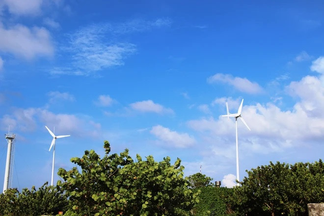 Dispone Vietnam sus recursos en favor de transición energética justa ảnh 2