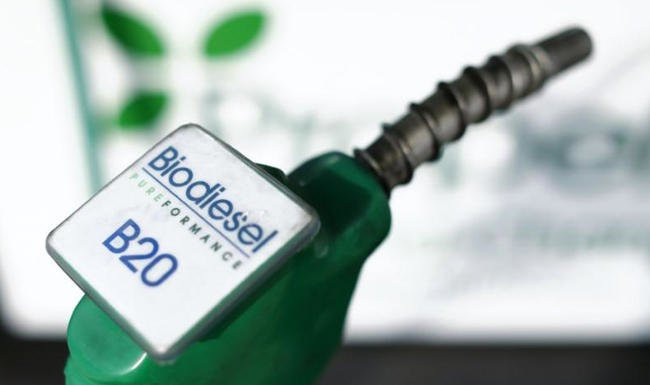 Estados Unidos impone aranceles al biodiésel de Argentina e Indonesia ảnh 1
