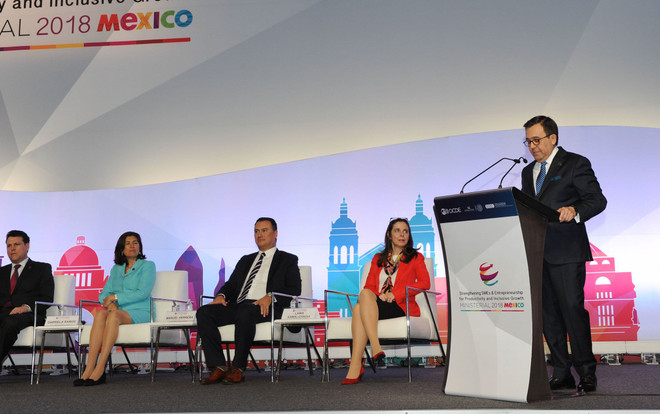 Vietnam participa en conferencia ministerial de OCDE en México ảnh 3 Vietnam participa en conferencia ministerial de OCDE en México ảnh 3