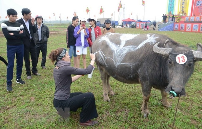 Comienzan festivales primaverales en provincias norteñas de Vietnam ảnh 1