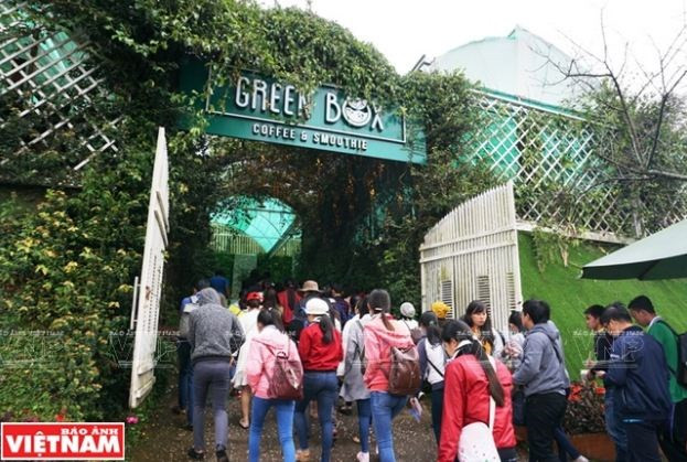 Provincia altiplánica de Lam Dong recibe más turistas durante el Tet ảnh 1 Provincia altiplánica de Lam Dong recibe más turistas durante el Tet ảnh 1