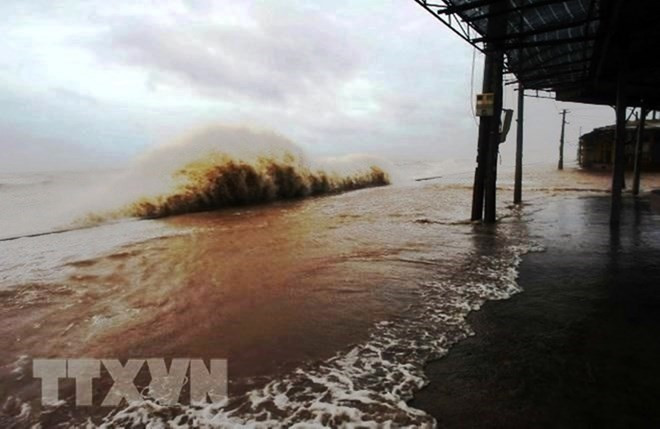 Inauguran en Hanoi reunión 50 del Comité de Tifones CESPAP/OMM ảnh 1 Inauguran en Hanoi reunión 50 del Comité de Tifones CESPAP/OMM ảnh 1