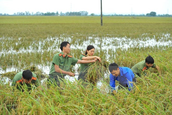 Aumentan calidad de vida de pobladores en zonas rurales en provincia norvietnamita ảnh 1 Aumentan calidad de vida de pobladores en zonas rurales en provincia norvietnamita ảnh 1