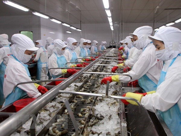 Proponen soluciones para reducir efectos de sanción aplicada por UE a la pesca vietnamita ảnh 1 Proponen soluciones para reducir efectos de sanción aplicada por UE a la pesca vietnamita ảnh 1