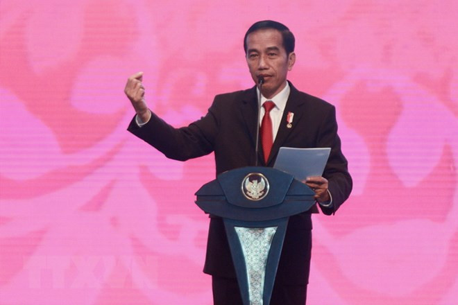 Indonesia: Partido gobernante respalda a Widodo como candidato presidencial ảnh 1