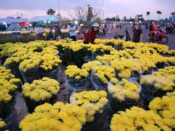 Vietnam destina millones de dólares para importación de flores para el Tet ảnh 1 Vietnam destina millones de dólares para importación de flores para el Tet ảnh 1