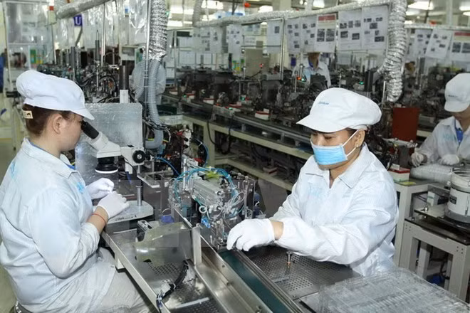 Provincia sudvietnamita insta a mayores inversiones extranjeras ảnh 1