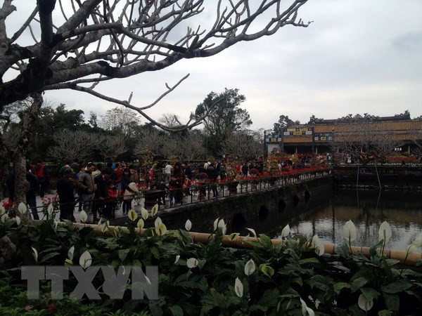 Ciudad Imperial de Hue reporta alta llegada de turistas durante el Año Nuevo Lunar ảnh 1 Ciudad Imperial de Hue reporta alta llegada de turistas durante el Año Nuevo Lunar ảnh 1