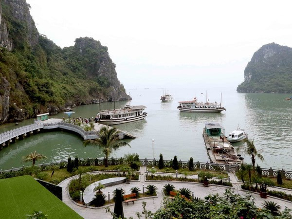 Provincia de Quang Ninh registra alta llegada de turistas durante el Año Nuevo Lunar ảnh 1 Provincia de Quang Ninh registra alta llegada de turistas durante el Año Nuevo Lunar ảnh 1