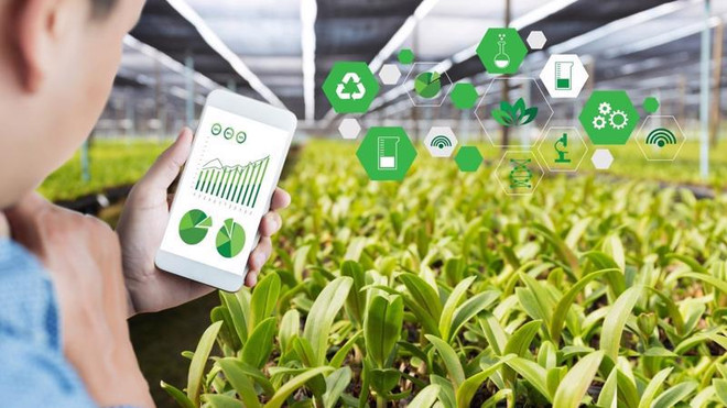 Transformación digital ayuda a desarrollar agricultura sostenible en Vietnam ảnh 1 Transformación digital ayuda a desarrollar agricultura sostenible en Vietnam ảnh 1