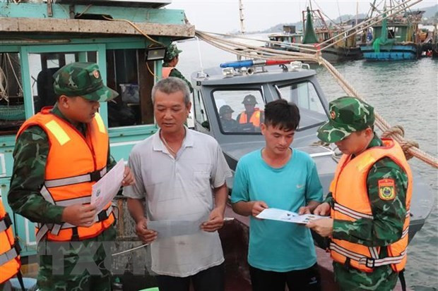 Vietnam por garantizar exportaciones de productos acuáticos sin violar pesca ilegal ảnh 1 Vietnam por garantizar exportaciones de productos acuáticos sin violar pesca ilegal ảnh 1