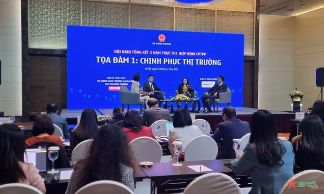 Empresas vietnamitas explotan cada vez mejor el CPTPP ảnh 1