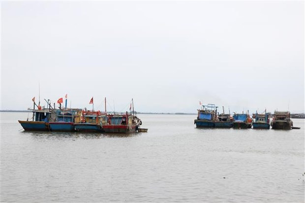 Experto francés valora papel de UNCLOS de 1982 ảnh 1 Experto francés valora papel de UNCLOS de 1982 ảnh 1