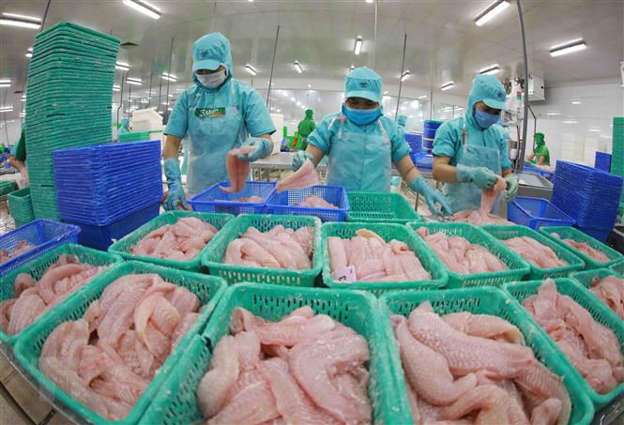 Oportunidades para exportación de productos agrícolas vietnamitas ảnh 2 Oportunidades para exportación de productos agrícolas vietnamitas ảnh 2