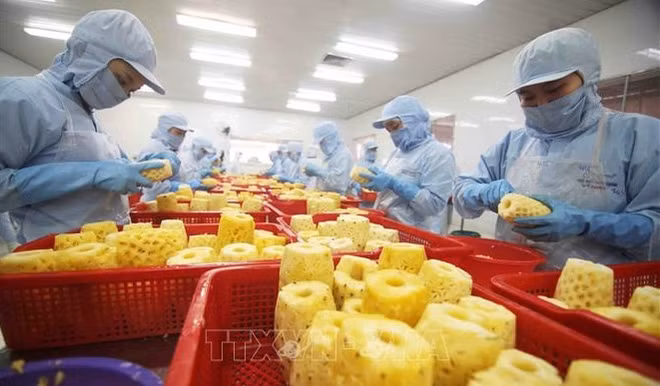 Oportunidades para exportación de productos agrícolas vietnamitas ảnh 1