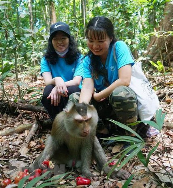 Liberan en bosques naturales 14 especies raras de vida silvestre ảnh 2 Liberan en bosques naturales 14 especies raras de vida silvestre ảnh 2
