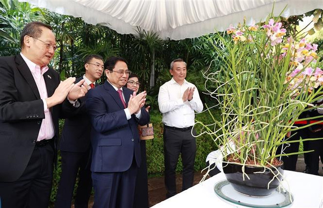 Premier de Vietnam realiza sus primeras actividades en Singapur ảnh 2 Premier de Vietnam realiza sus primeras actividades en Singapur ảnh 2