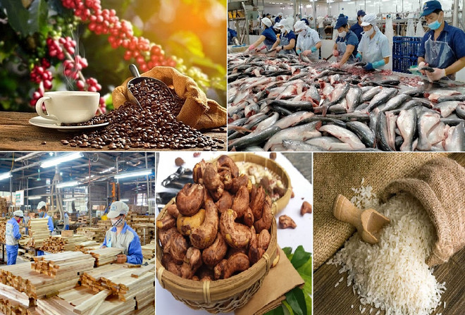 Vietnam ingresa fondo multimillonario por exportaciones agrosilvícolas en enero ảnh 1 Vietnam ingresa fondo multimillonario por exportaciones agrosilvícolas en enero ảnh 1