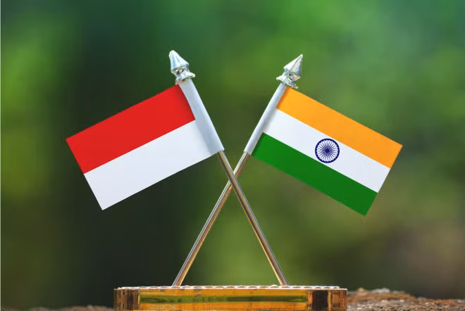 India e Indonesia fortalecen cooperación en defensa-seguridad ảnh 1