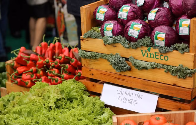 Aumenta Índice de Precios al Consumidor de Vietnam en julio ảnh 1 Aumenta Índice de Precios al Consumidor de Vietnam en julio ảnh 1