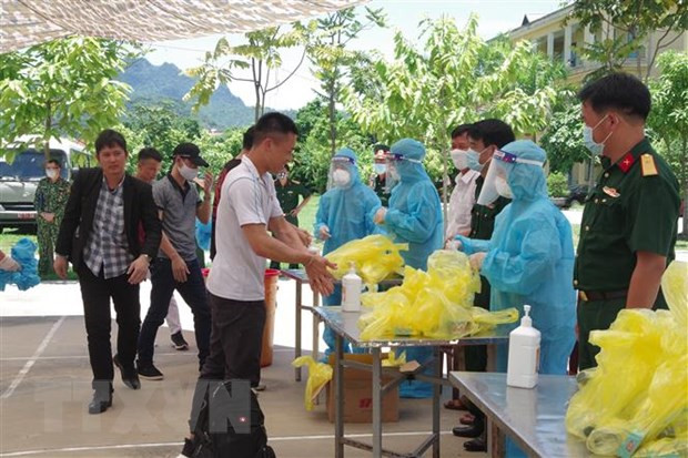 Vietnam confirma otros 12 casos importados de coronavirus ảnh 1