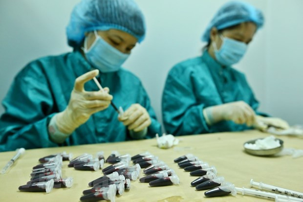 Vietnam promueve investigación para producir una vacuna contra el COVID-19 ảnh 1