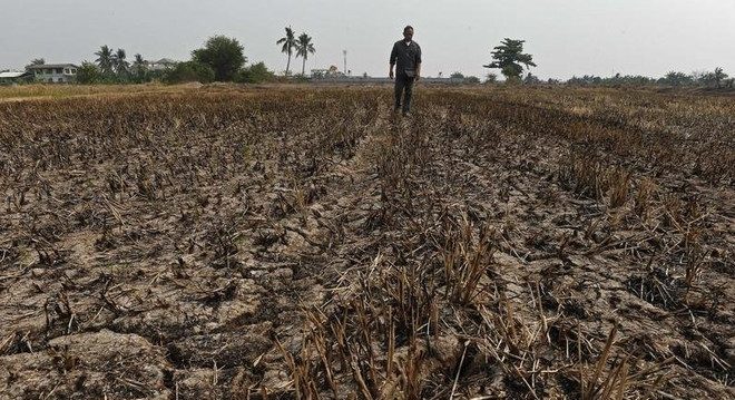 Tailandia enfrenta riesgo de severa escasez de agua, advierten expertos ảnh 1 Tailandia enfrenta riesgo de severa escasez de agua, advierten expertos ảnh 1