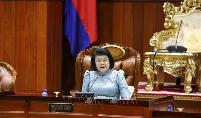 Fortalecen solidaridad y amistad tradicional Vietnam-Camboya ảnh 1 Fortalecen solidaridad y amistad tradicional Vietnam-Camboya ảnh 1