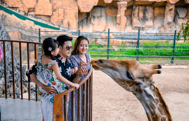 Vietnamitas se muestran optimistas ante recuperación del turismo tras la pandemia ảnh 1 Vietnamitas se muestran optimistas ante recuperación del turismo tras la pandemia ảnh 1