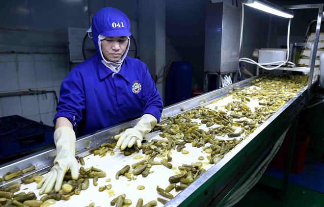 Promueven lazos comerciales entre provincia sudáfrica y socios vietnamitas ảnh 1 Promueven lazos comerciales entre provincia sudáfrica y socios vietnamitas ảnh 1