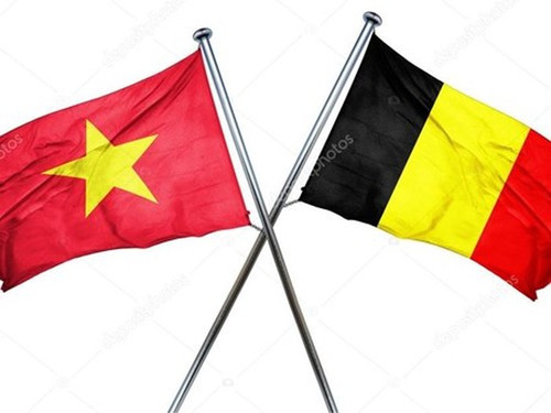Bélgica y Vietnam fomentan cooperación en diversos aspectos ảnh 1 Bélgica y Vietnam fomentan cooperación en diversos aspectos ảnh 1