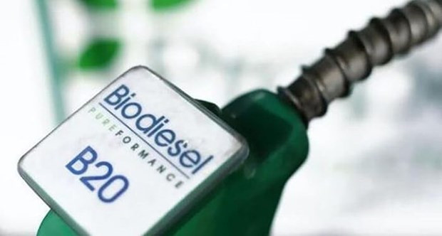 Indonesia, mayor productor de biodiésel del mundo ảnh 1 Indonesia, mayor productor de biodiésel del mundo ảnh 1