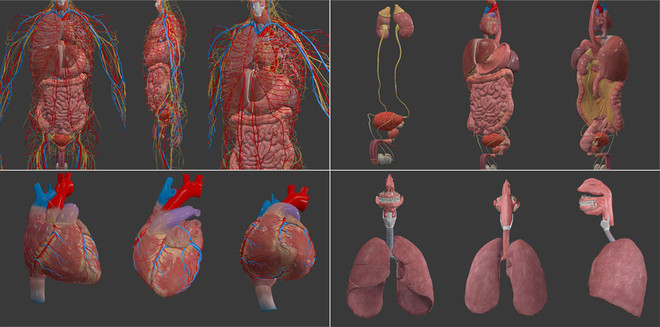 Universidad vietnamita impulsa aplicación de tecnología 3D en enseñanza ảnh 1 Universidad vietnamita impulsa aplicación de tecnología 3D en enseñanza ảnh 1