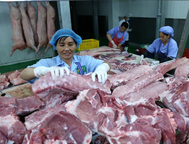 Empresas estadounidenses proponen elevar exportaciones de carne de cerdo a Vietnam ảnh 1 Empresas estadounidenses proponen elevar exportaciones de carne de cerdo a Vietnam ảnh 1