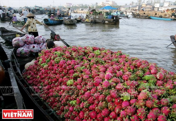 Indonesia promueve cooperación con provincia vietnamita de Can Tho ảnh 1 Indonesia promueve cooperación con provincia vietnamita de Can Tho ảnh 1