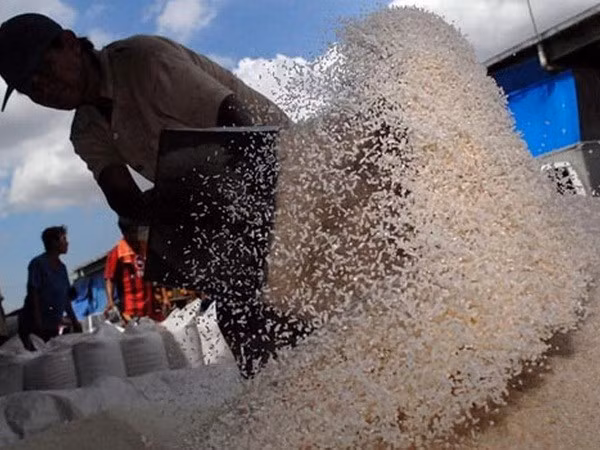 Indonesia importará un millón de toneladas de arroz de Pakistán ảnh 1