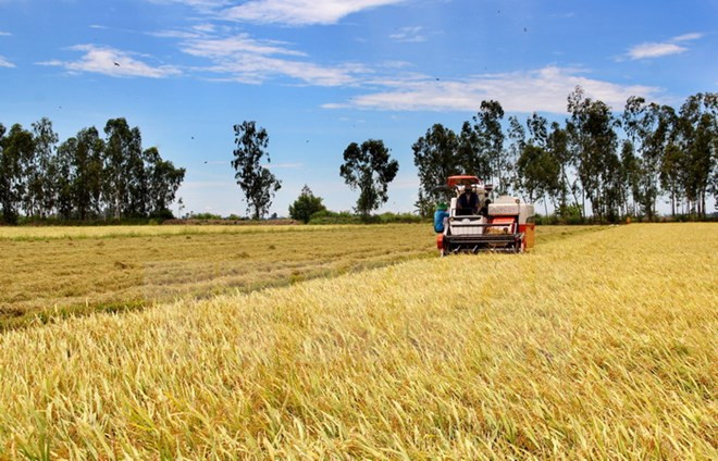 Vietnam y Japón cooperan en desarrollo agrícola de alta tecnología ảnh 1 Vietnam y Japón cooperan en desarrollo agrícola de alta tecnología ảnh 1