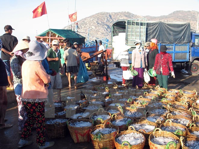 Vietnam adquiere experiencias noruegas en economía marítima ảnh 1 Vietnam adquiere experiencias noruegas en economía marítima ảnh 1