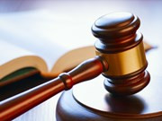 Mejoran capacidad vietnamita en insolvencia empresarial ảnh 1  Mejoran capacidad vietnamita en insolvencia empresarial ảnh 1