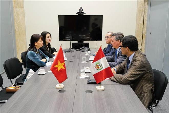 Presidenta peruana valora nexos de cooperación con Vietnam ảnh 2 Presidenta peruana valora nexos de cooperación con Vietnam ảnh 2