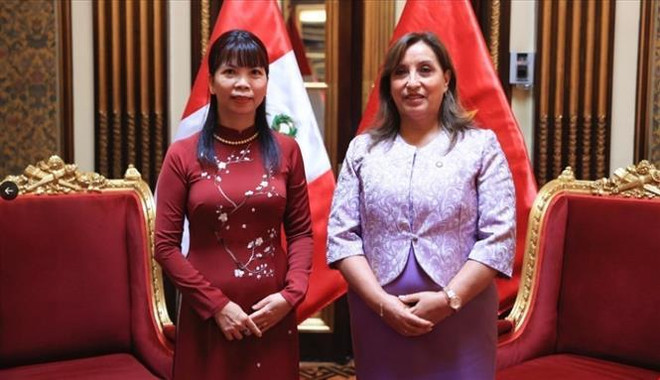Presidenta peruana valora nexos de cooperación con Vietnam ảnh 1 Presidenta peruana valora nexos de cooperación con Vietnam ảnh 1