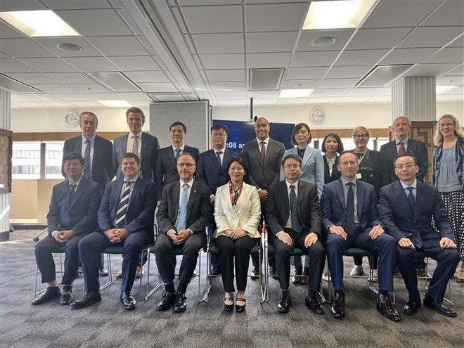 Vietnam y Nueva Zelanda comparten experiencias en campo de auditoría ảnh 2