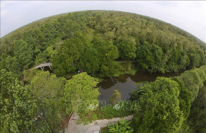 Vietnam ​- pionero en la implementación de compromisos "verdes" ảnh 1