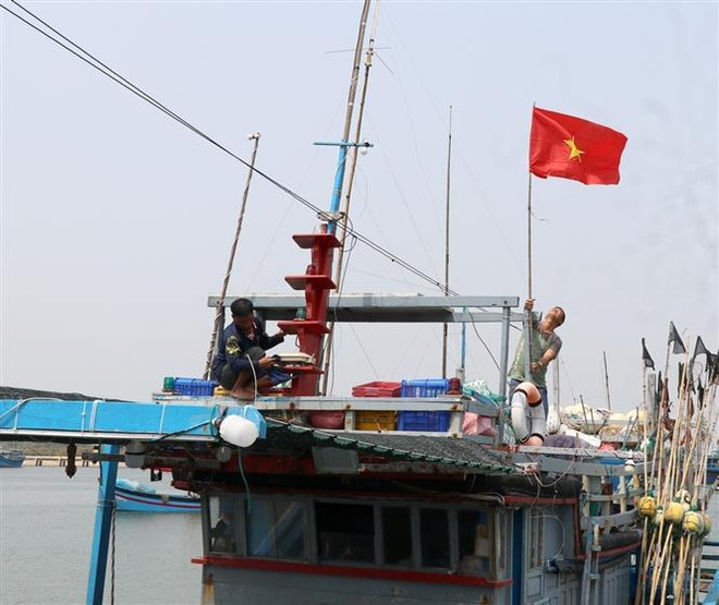 Inspeccionan lucha de provincia vietnamita contra la IUU ảnh 1 Inspeccionan lucha de provincia vietnamita contra la IUU ảnh 1