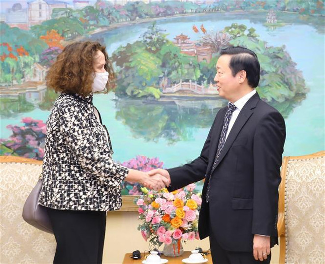 Vicepremier recibe a directora nacional del Banco Mundial en Vietnam ảnh 1 Vicepremier recibe a directora nacional del Banco Mundial en Vietnam ảnh 1